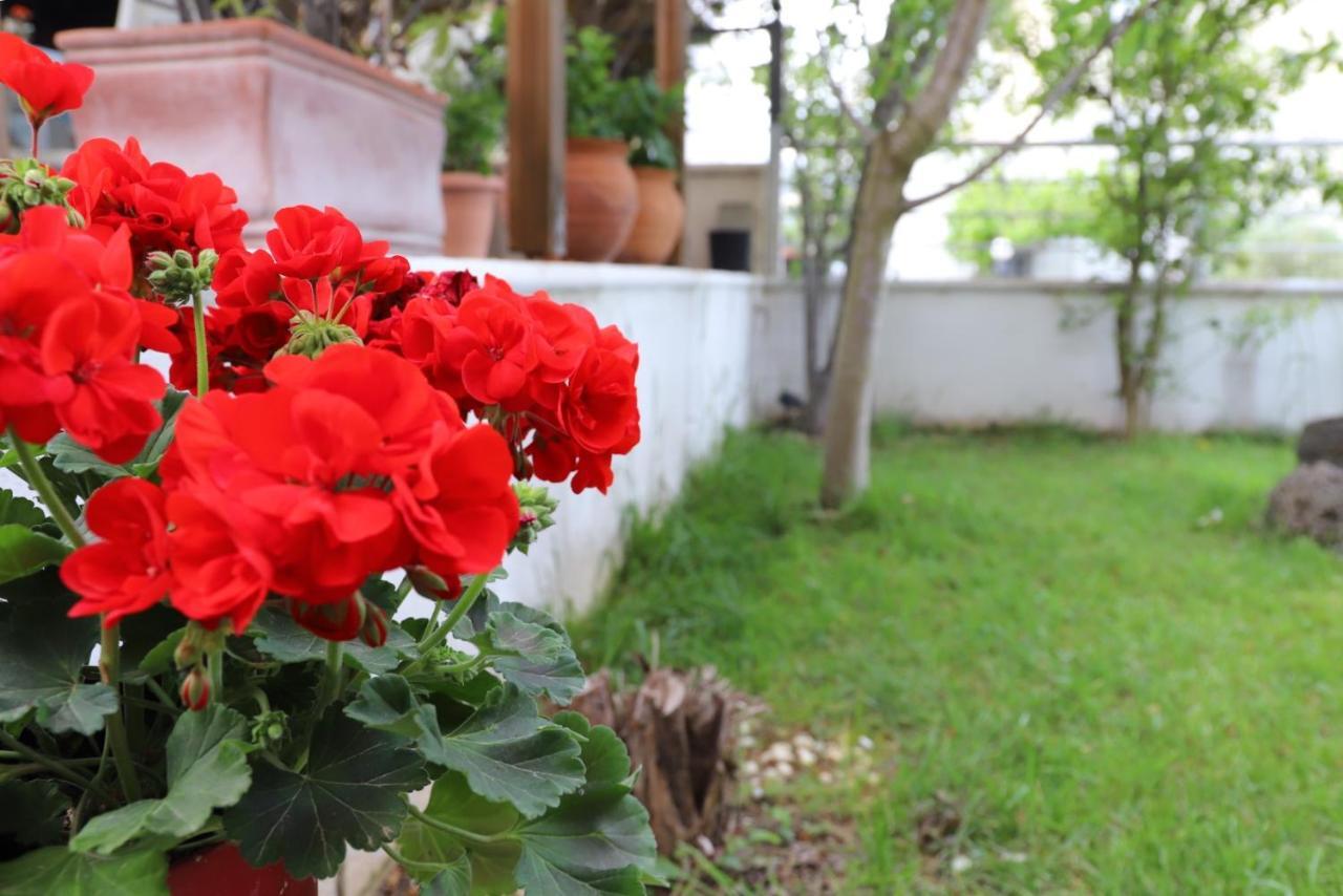 Belle Maison Villa Kavála Ngoại thất bức ảnh